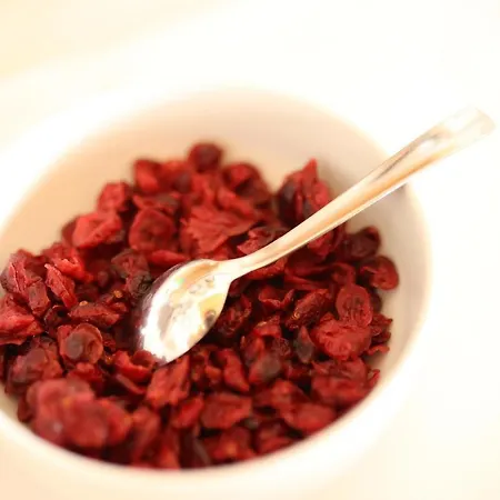 Hotel Murter Hotel Murter