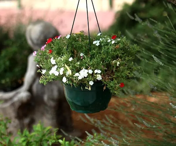 Hotel Murter 3* מורטר