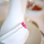 Hotel Murter
