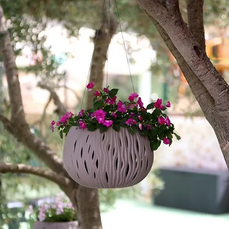 Отель Hotel Murter