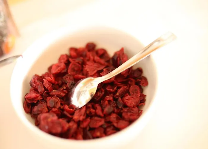 Hotel Murter Hotel Murter